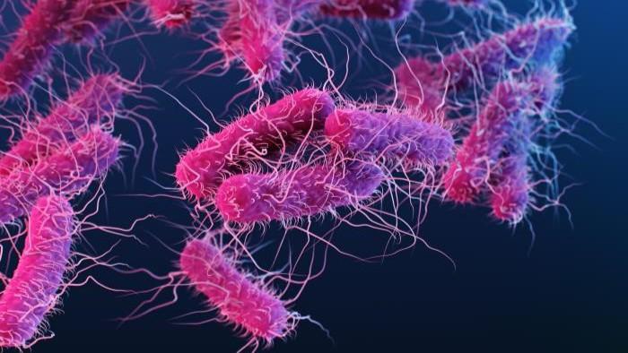 ecoli